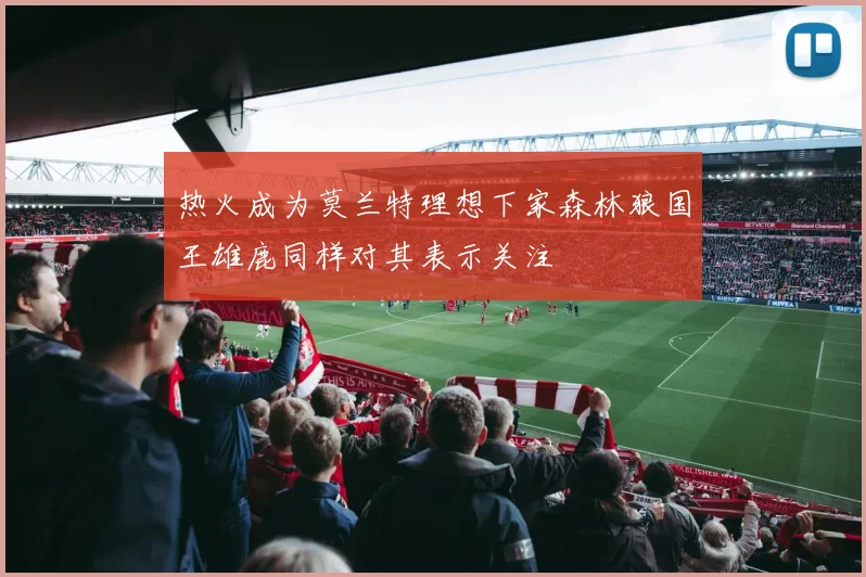 热火成为莫兰特理想下家森林狼国王雄鹿同样对其表示关注